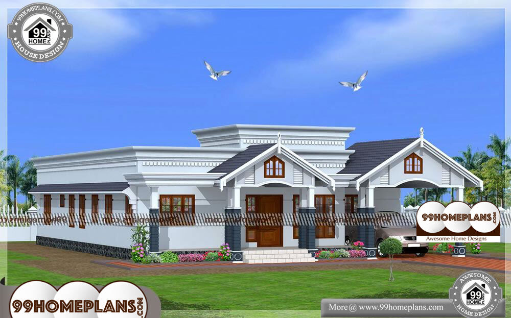 House Elevation Designs For Single Floor - Single Story 1550 sqft-Home