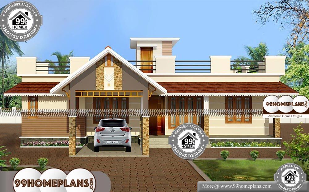 New Traditional Home - Single Story 1570 sqft-Home 