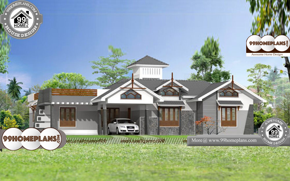 One Story Luxury House Plans - Single Story 2630 sqft-Home