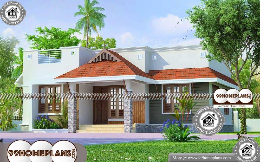 Single Floor House Elevation Models - Single Story 868 sqft-Home